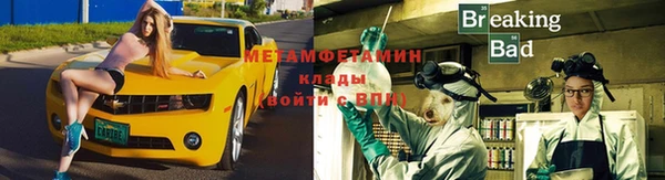 хмурый Алексин
