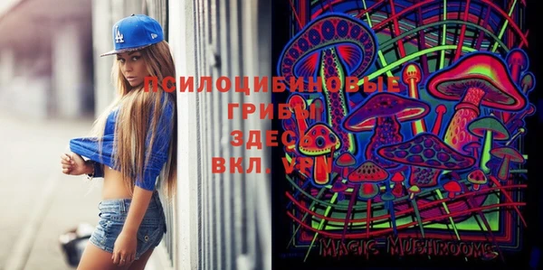спиды Приозерск