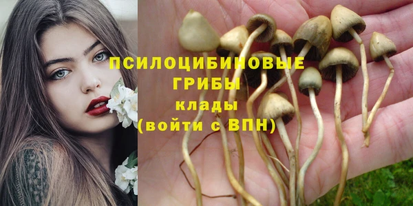 дурь Абдулино