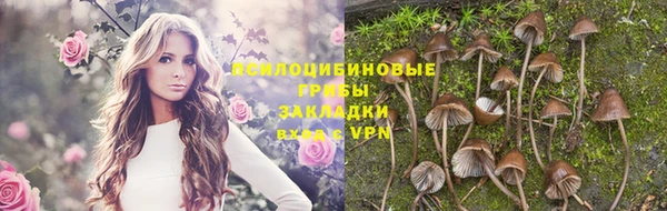 дурь Абдулино