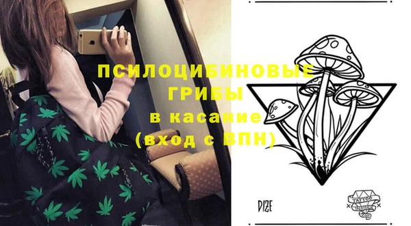 дурь Абдулино