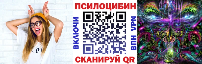 Галлюциногенные грибы GOLDEN TEACHER  ОМГ ОМГ ссылка  Судогда 